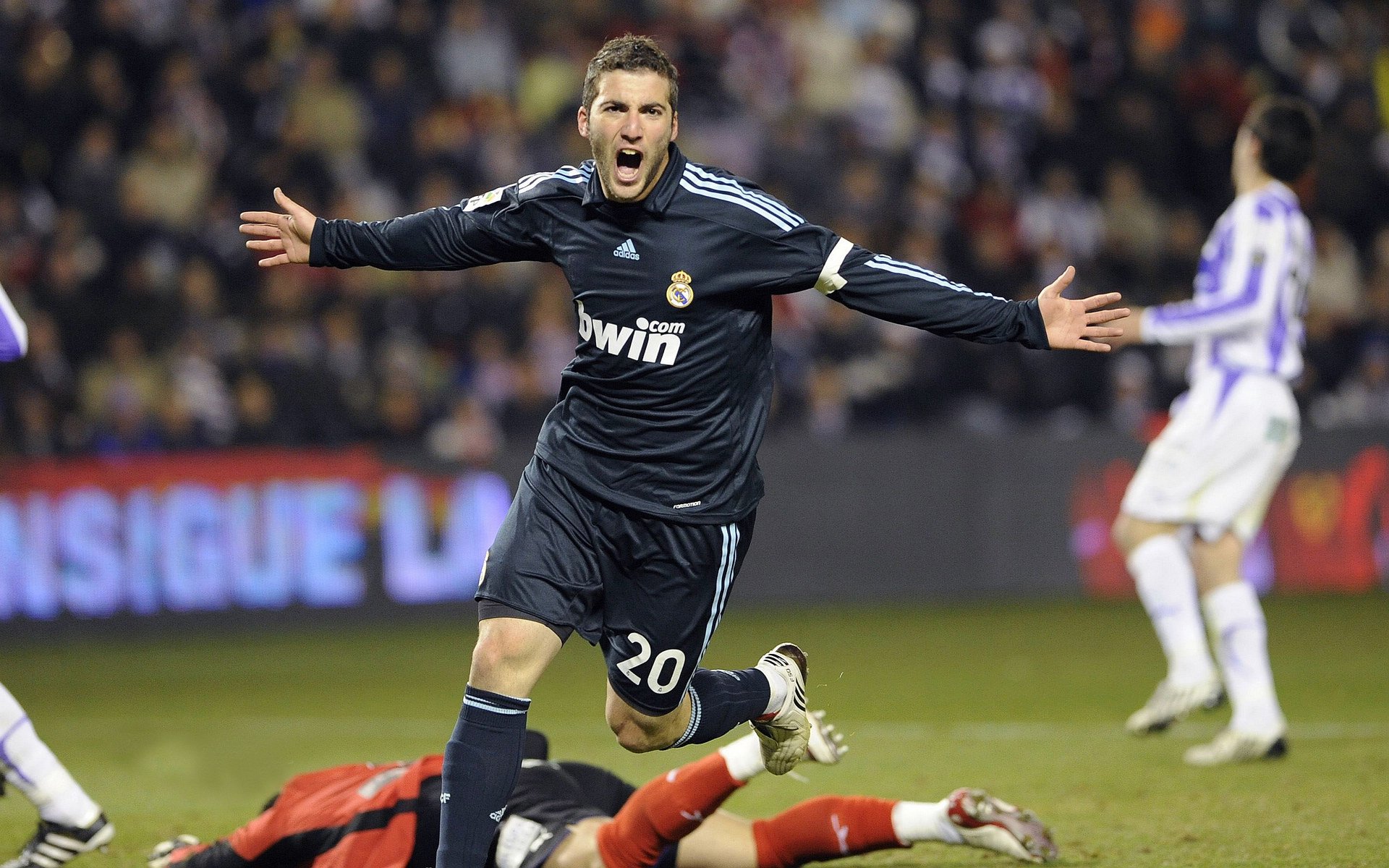 开云网页-_极地冰原极限跑：追逐白雪的速度梦想_，极地冰在哪里